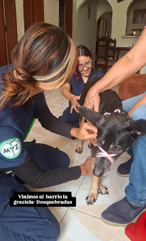 Entrega de apoyo durante la emergencia
