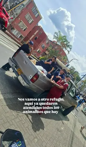 Entrega de apoyo durante la emergencia