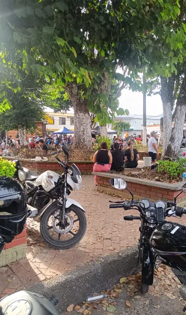 Entrega de apoyo durante la emergencia