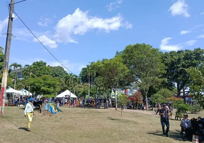 Entrega de apoyo durante la emergencia