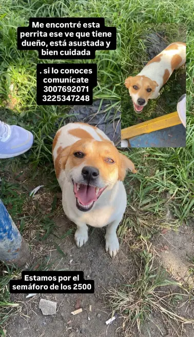 Persona desaparecida
