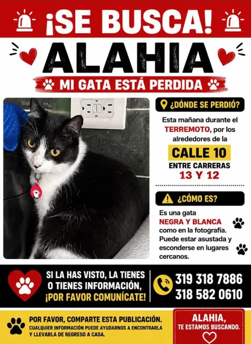 Persona desaparecida