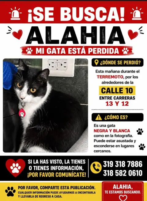 Persona desaparecida