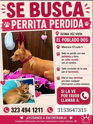 Persona desaparecida