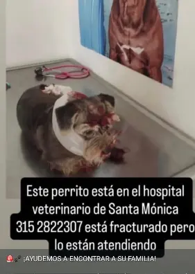 Persona desaparecida