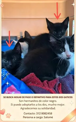 Persona desaparecida
