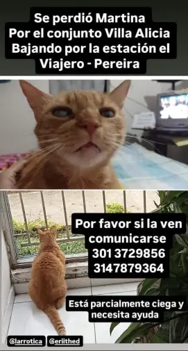 Persona desaparecida