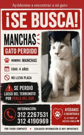 Persona desaparecida