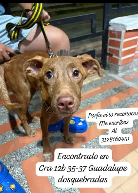 Persona desaparecida