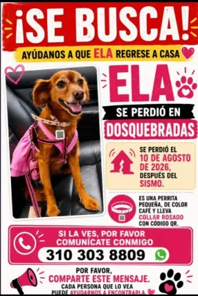 Persona desaparecida