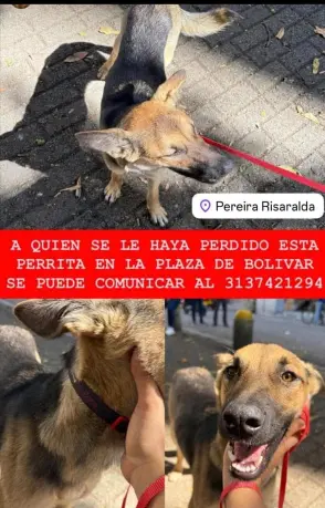 Persona desaparecida