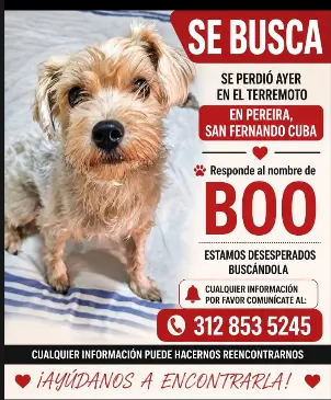 Persona desaparecida
