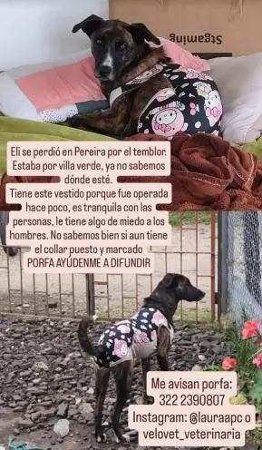 Persona desaparecida
