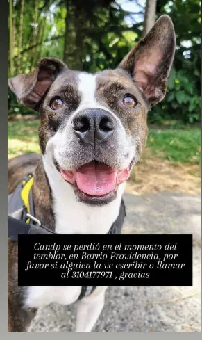 Persona desaparecida