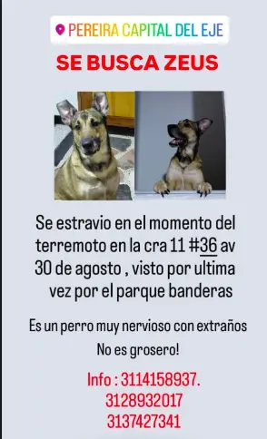 Persona desaparecida