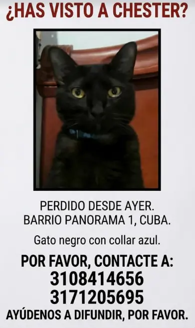 Persona desaparecida