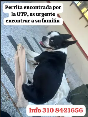 Persona desaparecida