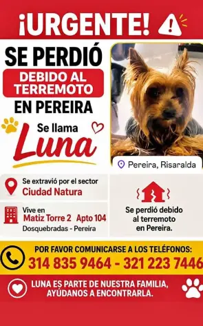 Persona desaparecida