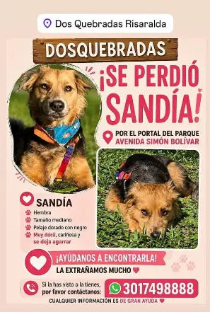 Persona desaparecida