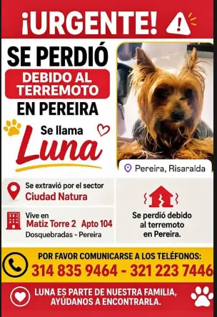 Persona desaparecida