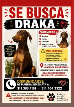 Persona desaparecida