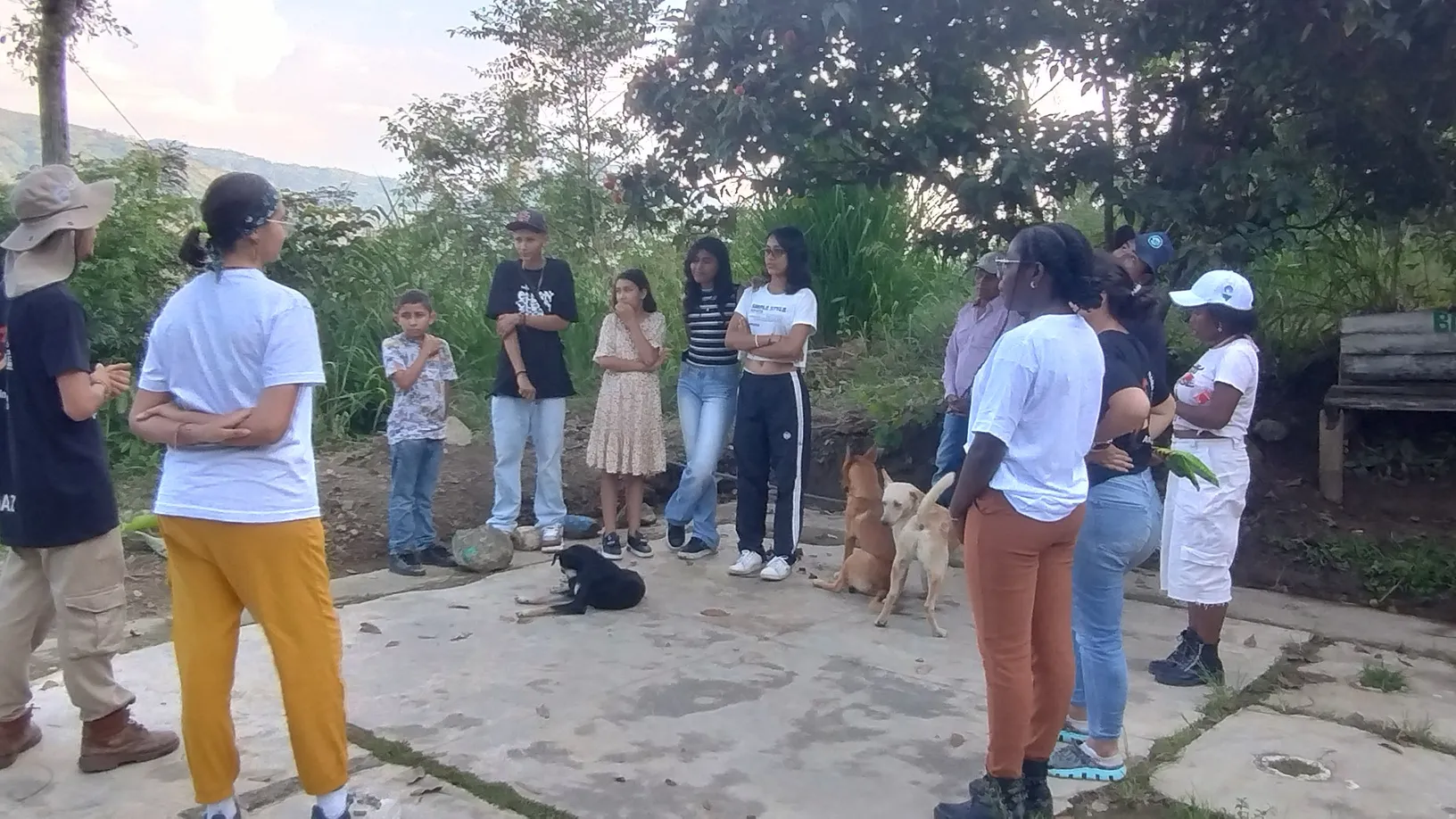 causa social